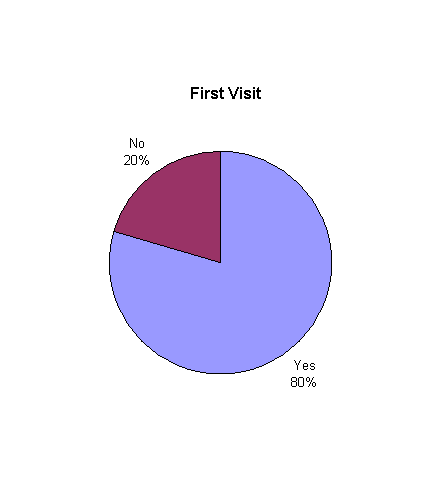 Pie Graph: First Visit - 20% No, 80% Yes